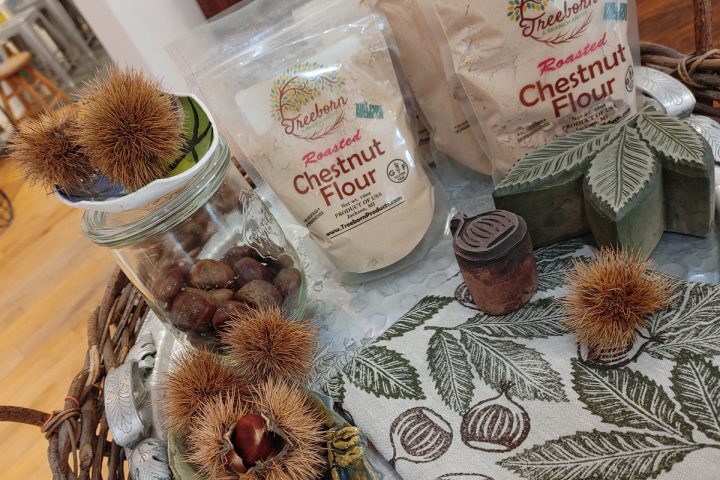 Curate Chestnut Collection Three Pines Studio